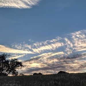 Meet your Posher, Maggie